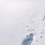 gettyrf_123022_snowfootprints2028129911850