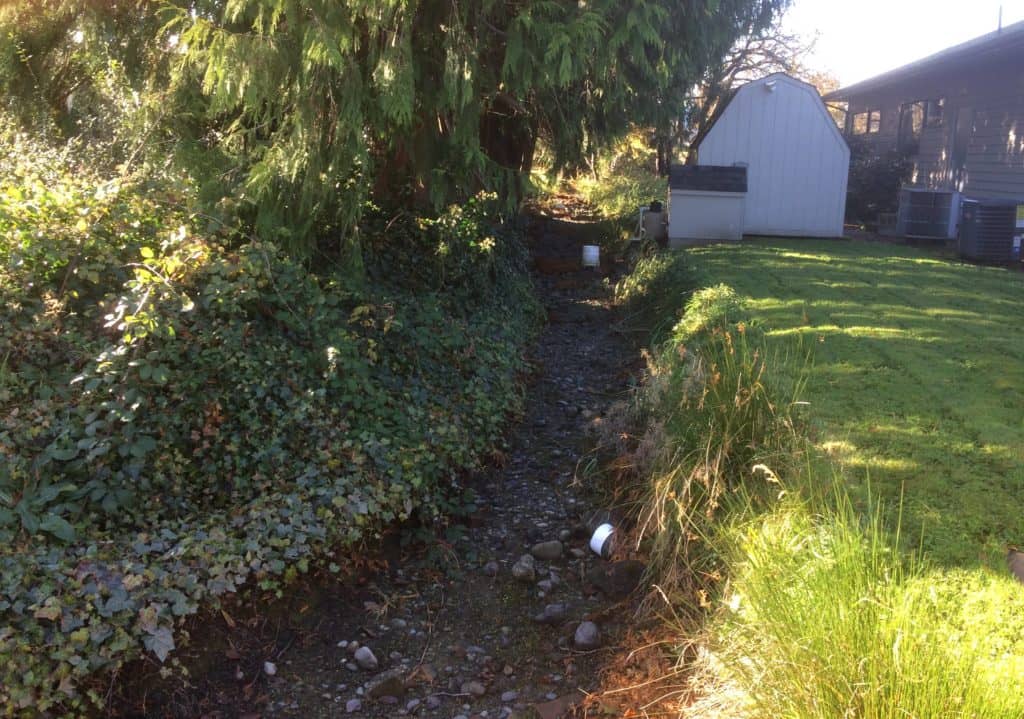 sequim-prairie-ditch