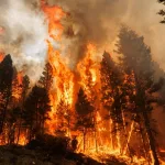 gettyimages_bcwildfires_081723696458