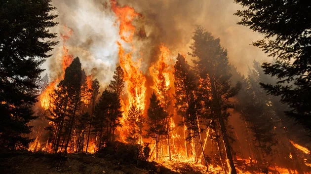 gettyimages_bcwildfires_081723696458