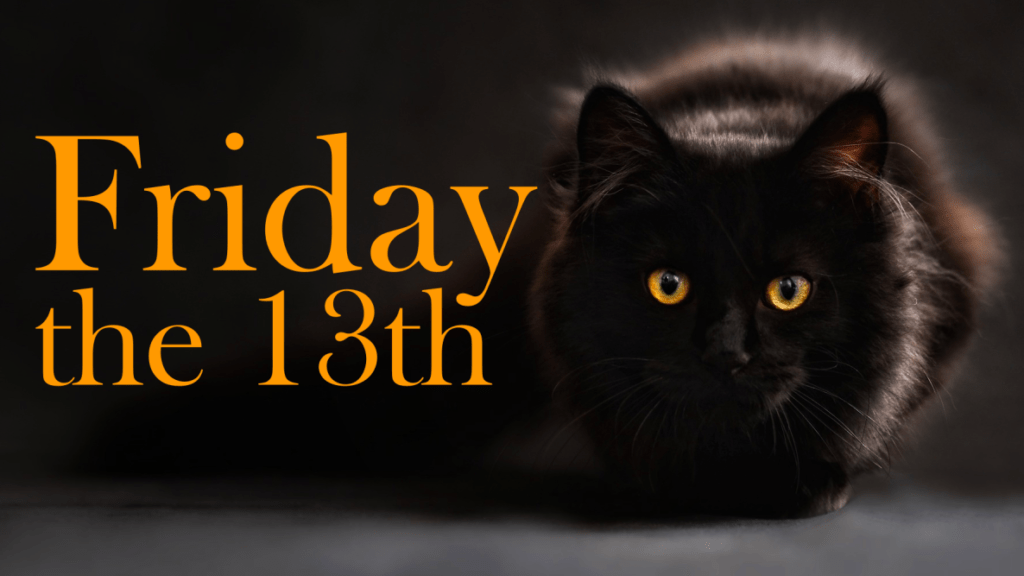 black-cat-friday13