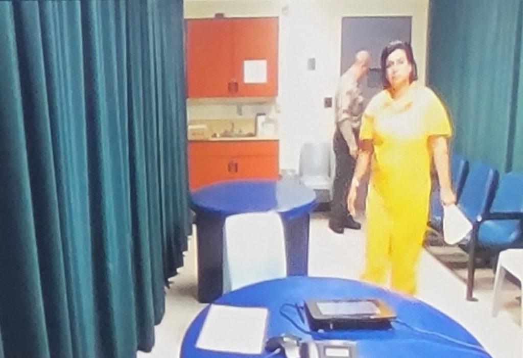 Diamond Point suspect admits to killing woman, claims self defense