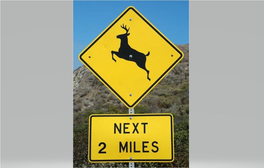 deer-crossing-edit