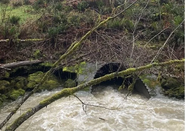 may-creek-culvert