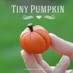 tiny-pumpkin