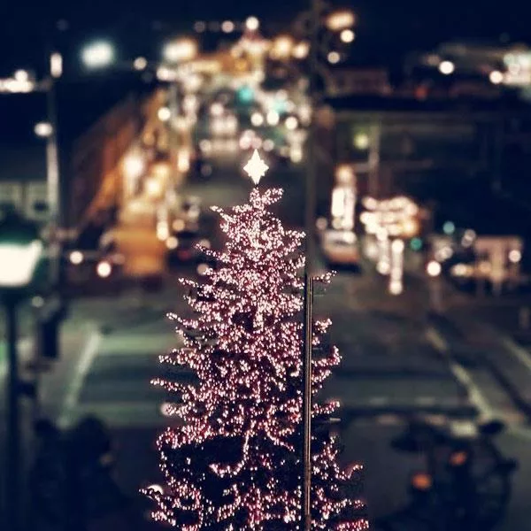 port-angeles-tree-lighting