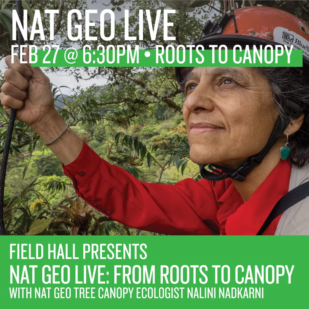 nat-geo-roots-canopy