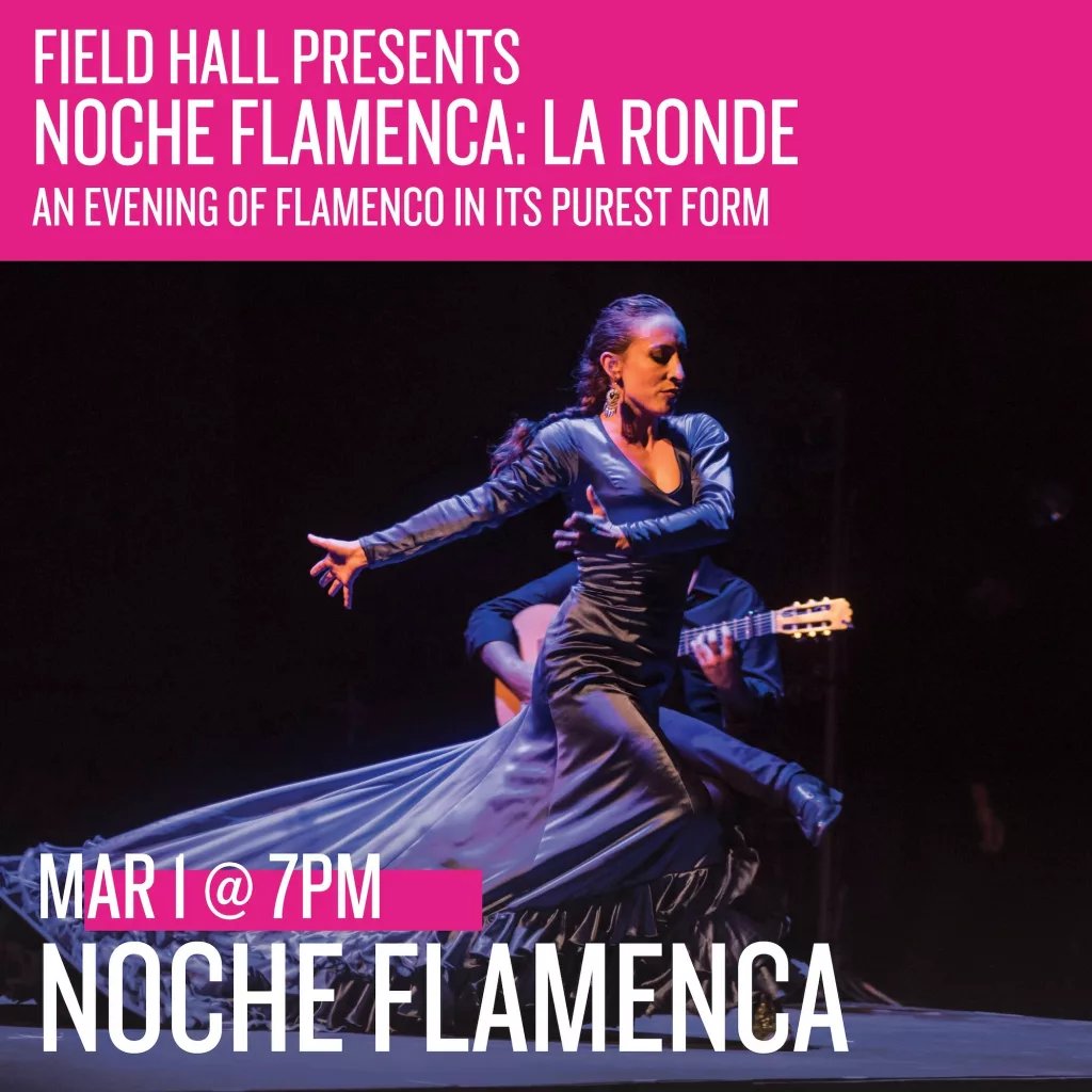 noche-flamenca