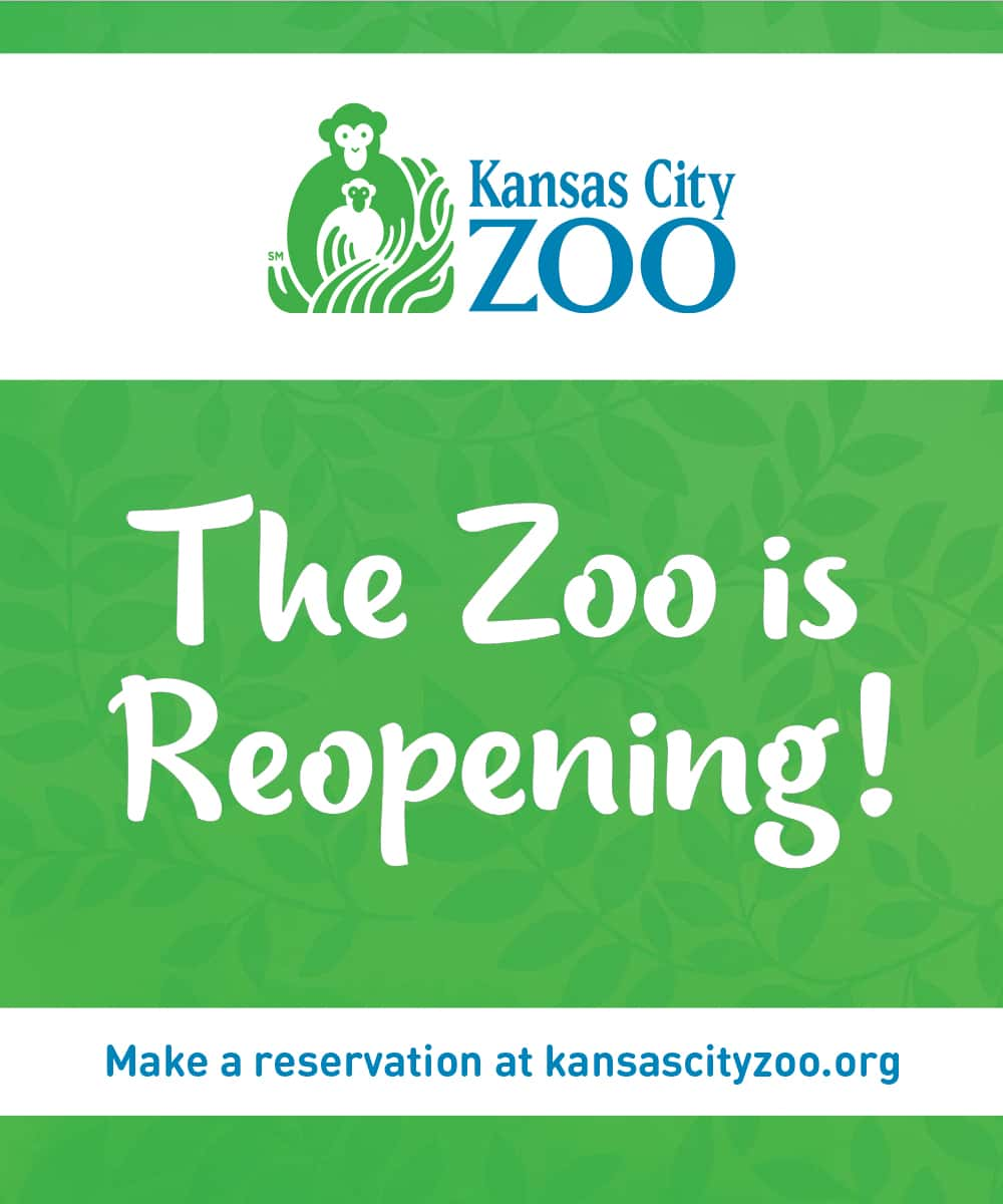 Kansas City Zoo Reopening | Hot 103 Jamz!