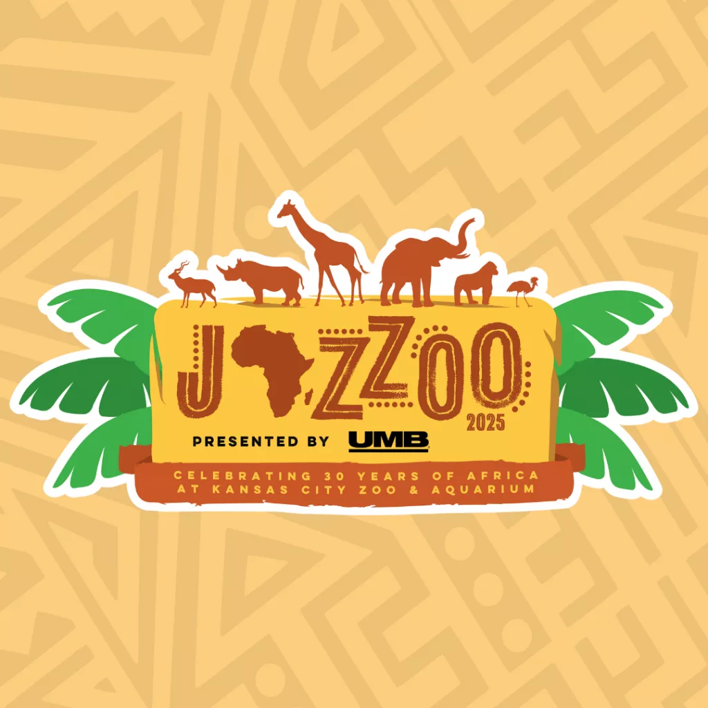 jazzoo-social-1