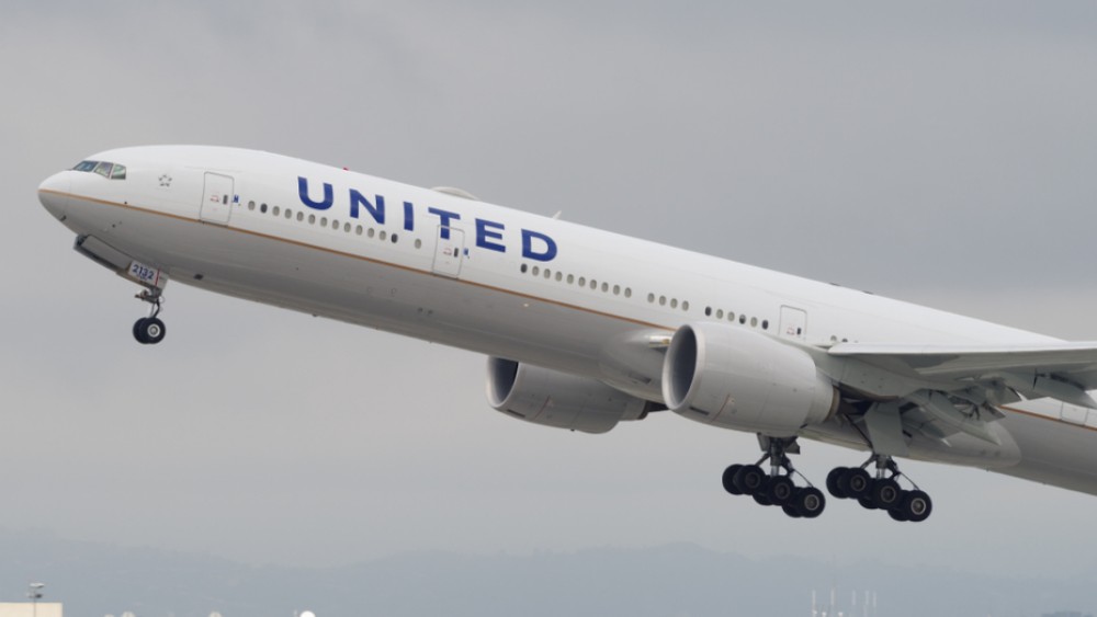Dog Dies On United Flight After Flight Attendant Allegedly Told
