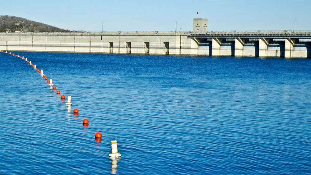 tmpc7349144-8f7f-442d-9943-6f460a6fc241-jpg