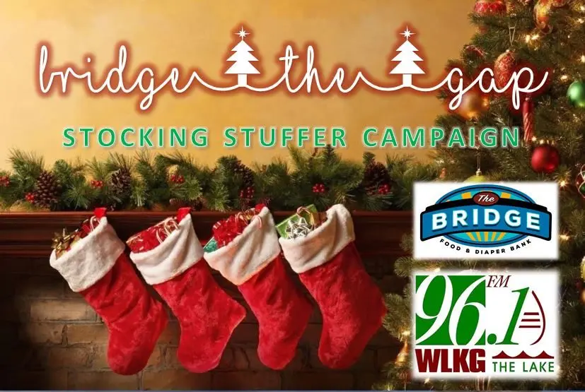 bridge-the-gap-2025-logo