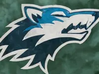AI-generated image Winter scene minnesota timberwolves LOGO nba finals champions 2024 (This content was generated by an Artificial Intelligence (AI) system)