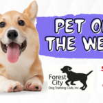 pet-of-the-week-updated