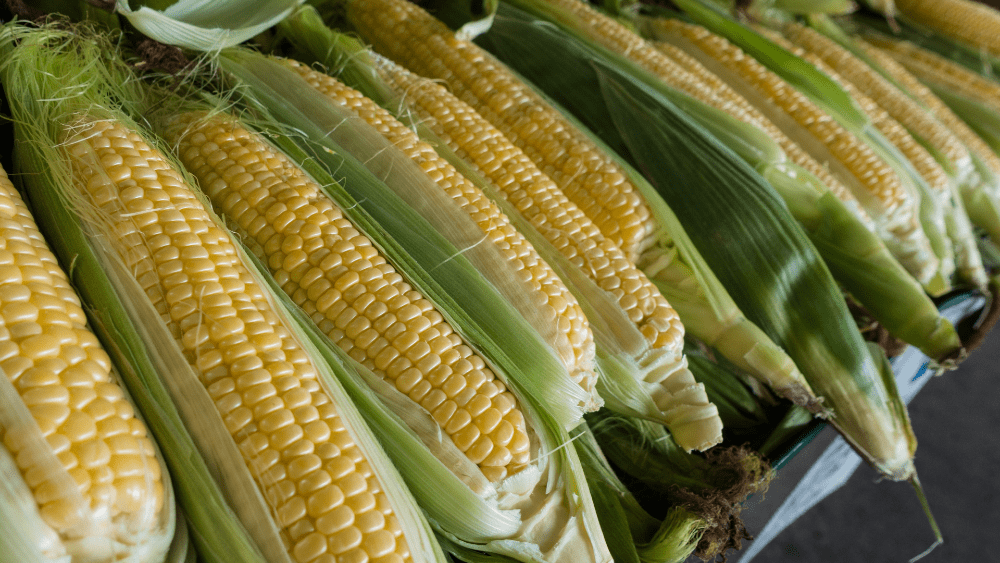 9 Possible Food Shortages For 2021 Real Rock 104 9 The X