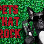 pets-that-rock-web-2