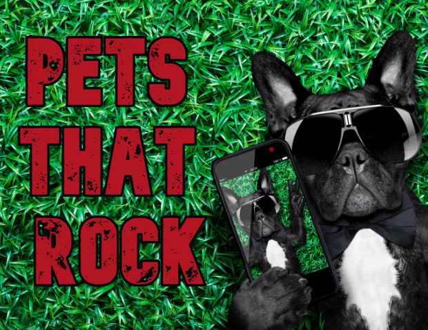 pets-that-rock-web-2