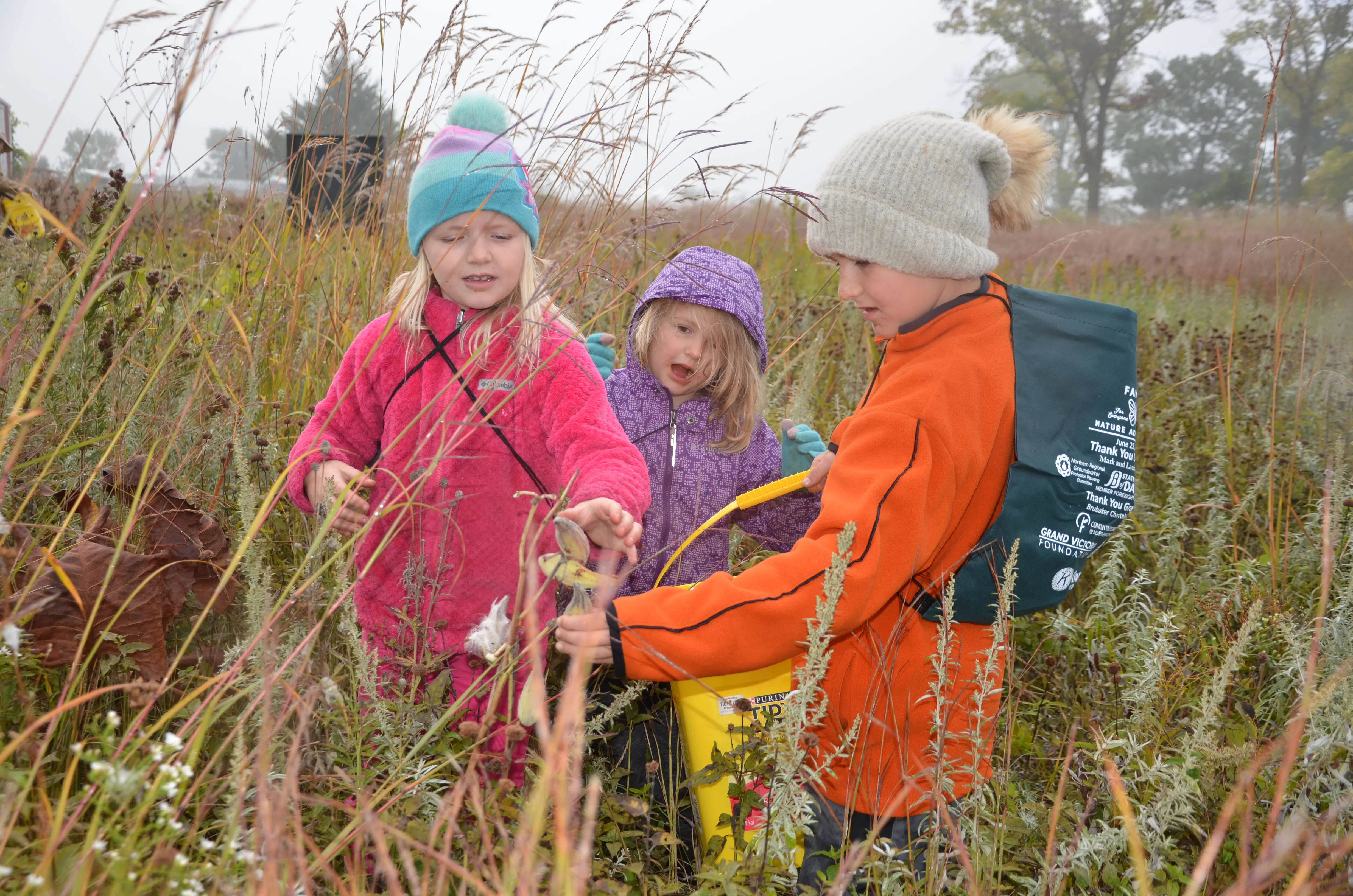 collecting-milkweed-seeds-2022-fall-harvest-nygren-wetland-by-jill-kennay-44-jpg