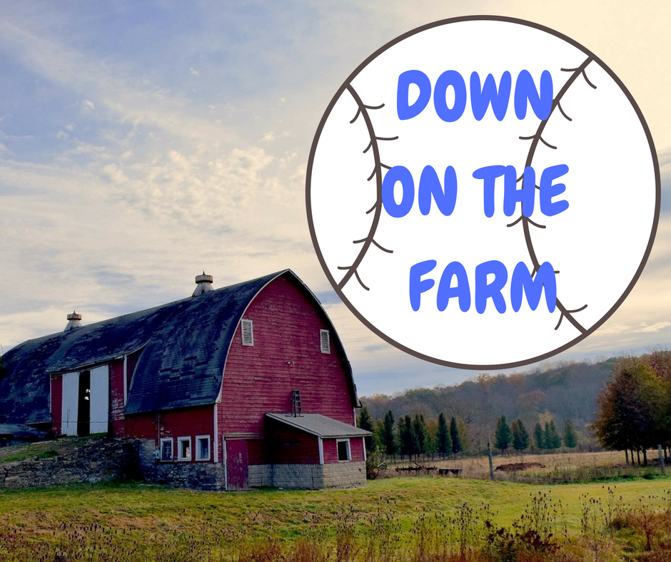 down-on-the-farm