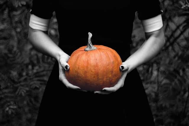 pumpkin-1713381_640-jpg-2