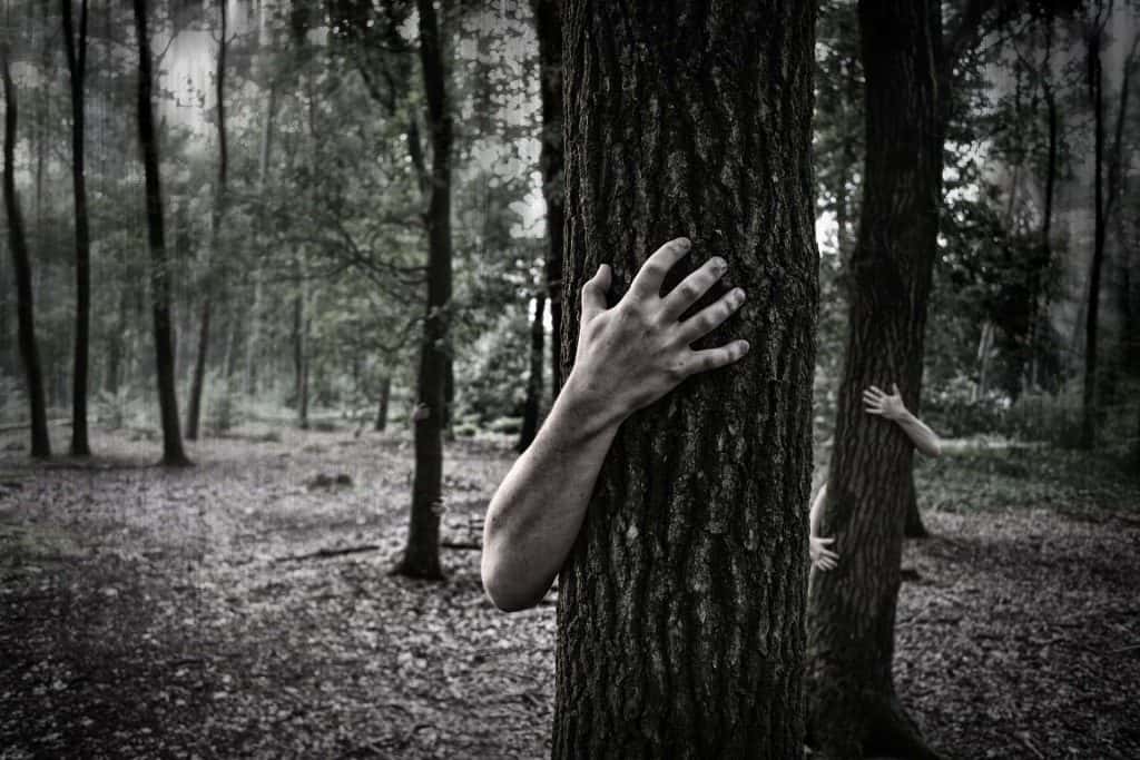 hands-984032_1920-jpg-6
