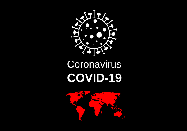 virus-4915859_640-png
