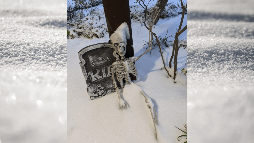 snow-png