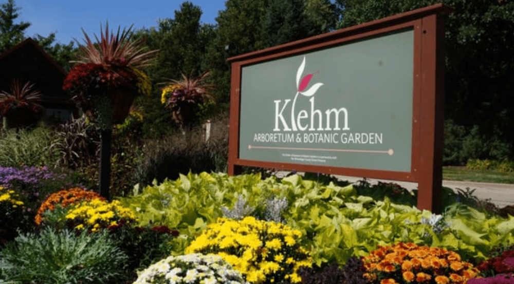 klehm-autumn-1000-x-553-png