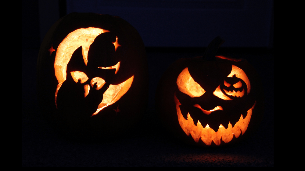 pumpkins-hospice-png