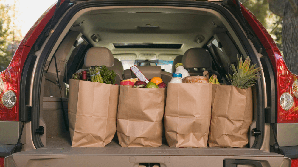 food-in-need-png-2