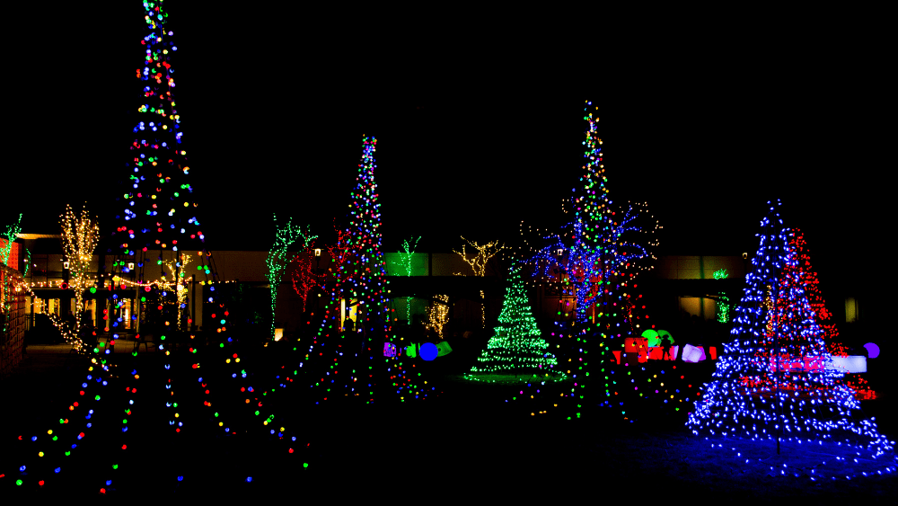 untitled-design-2020-12-07t102350-759-png