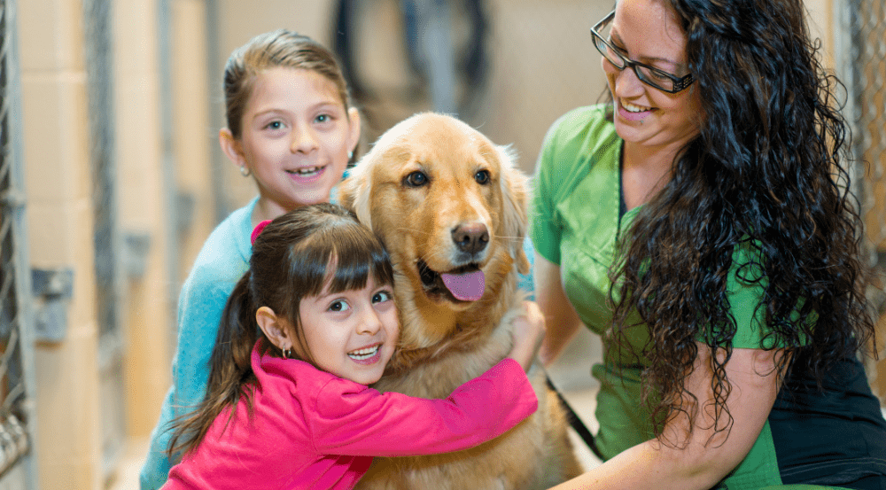 adopt-png