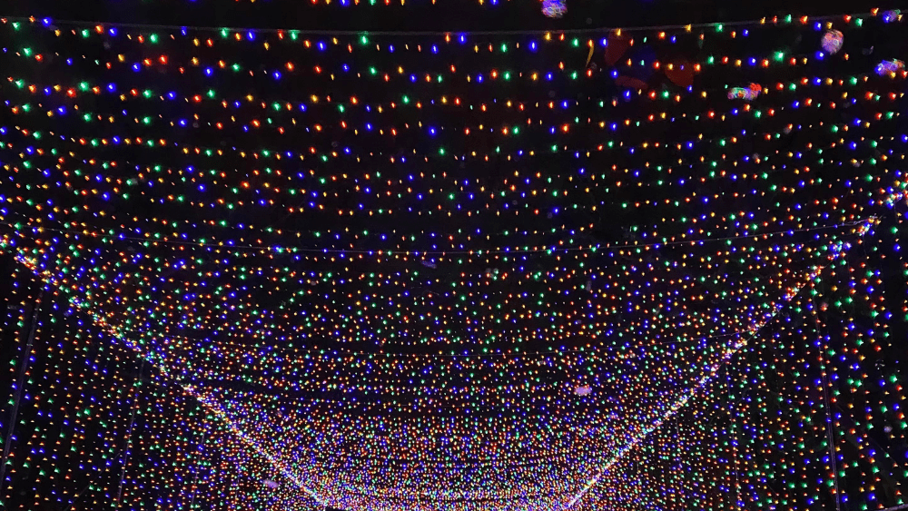 festival-of-lights-togo-meals-lights-png