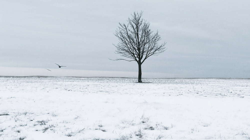 cold-outside-png