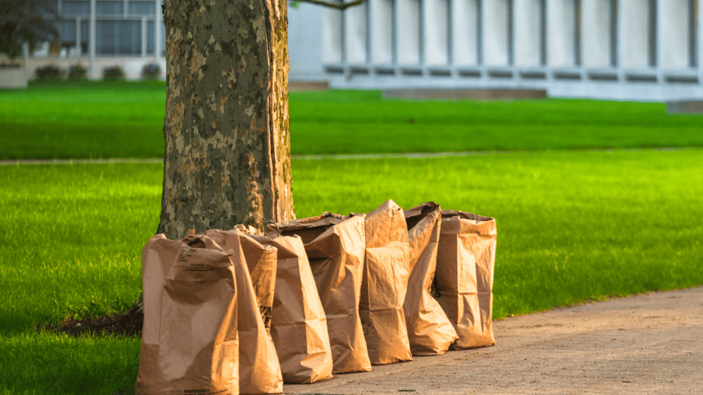 yard-waste-png
