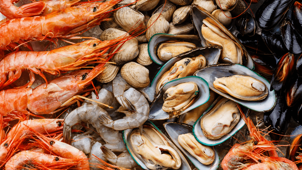 storming-crab-png