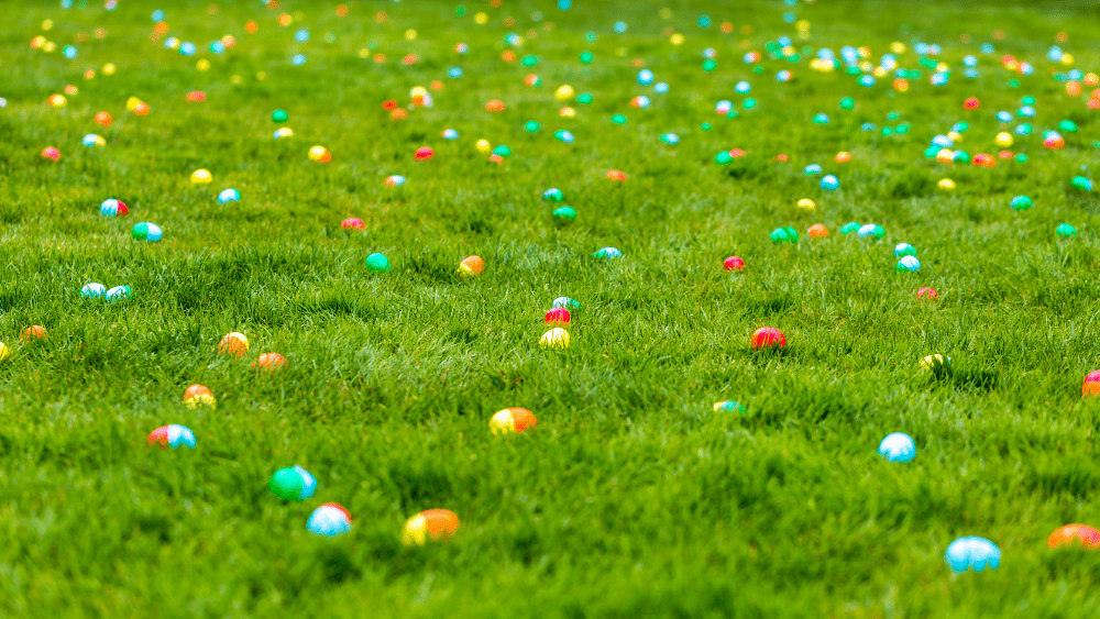 egg-hunt-png