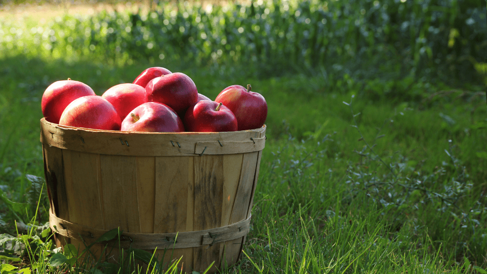 apple-png