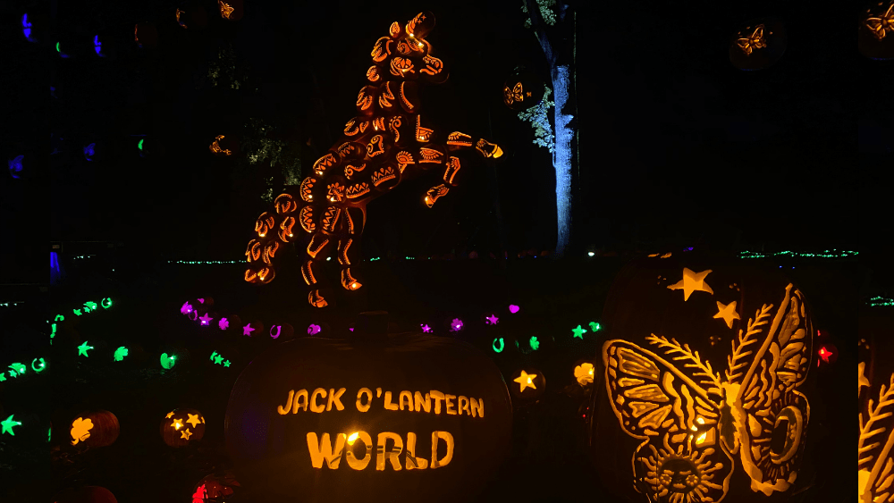 jack-o-lantern-png-3