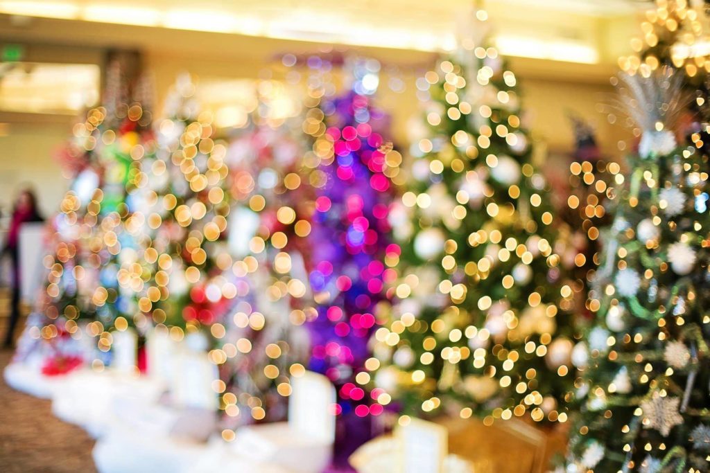 christmas-trees-1823943_1920-jpg-3