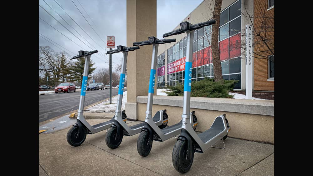 bird-scooters-jpg