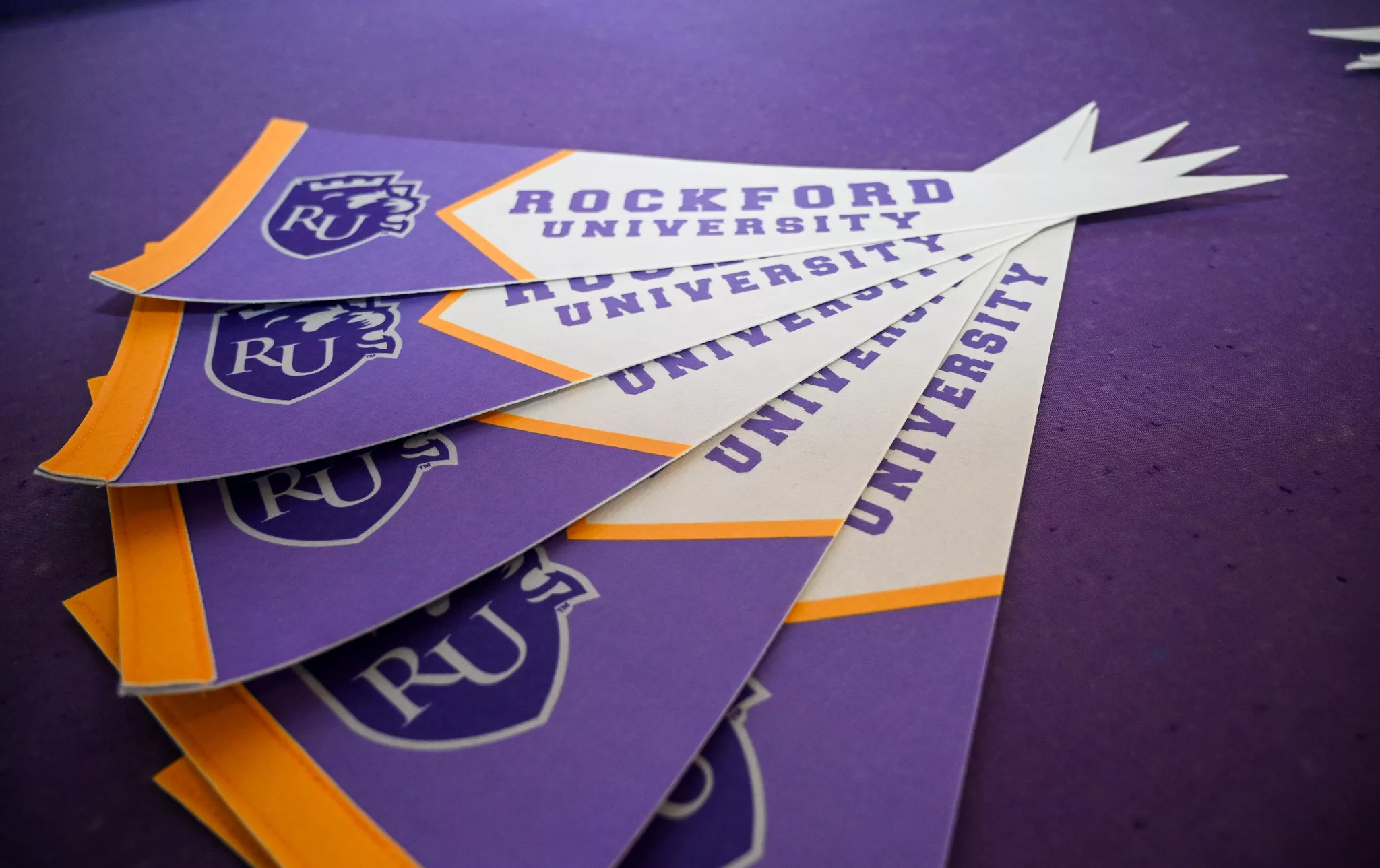 rockford-university-jpg-3