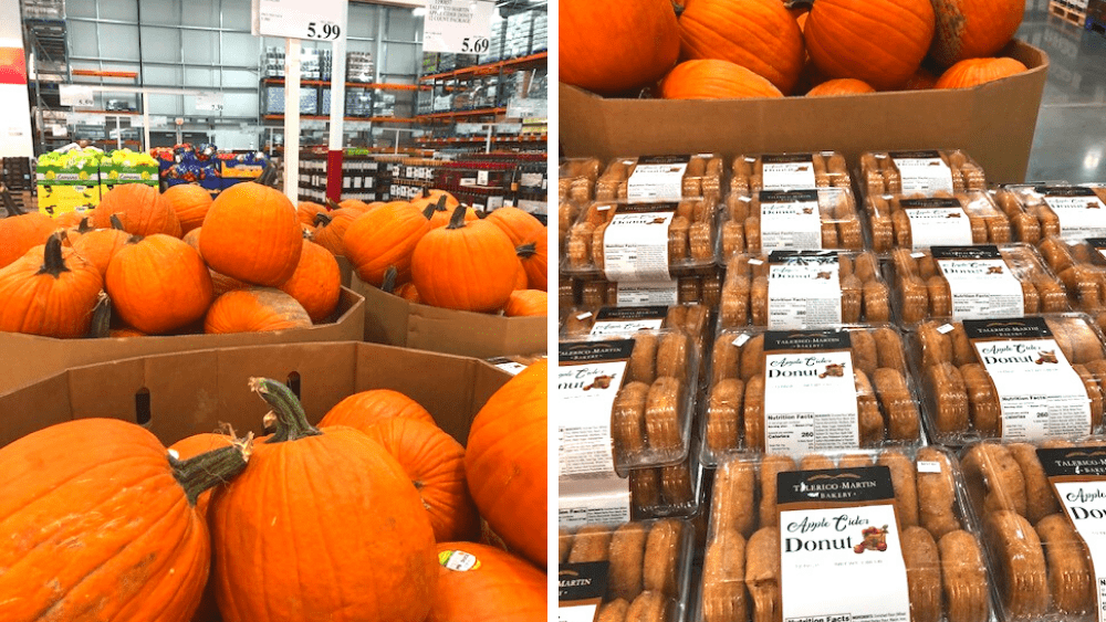 Kim's Stateline Costco Finds: Fall Edition