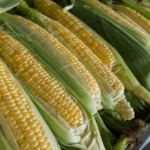 corn-png