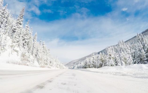 shutterstock_770030614