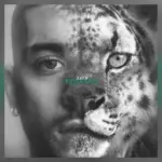 m_zaynkannakol_020426798906