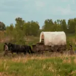 e_littlehouseontheprairie_030326796381