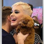 m_katyperrynugget_060518