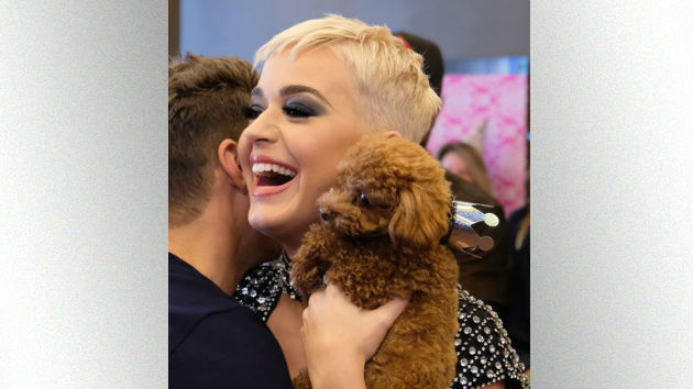 m_katyperrynugget_060518